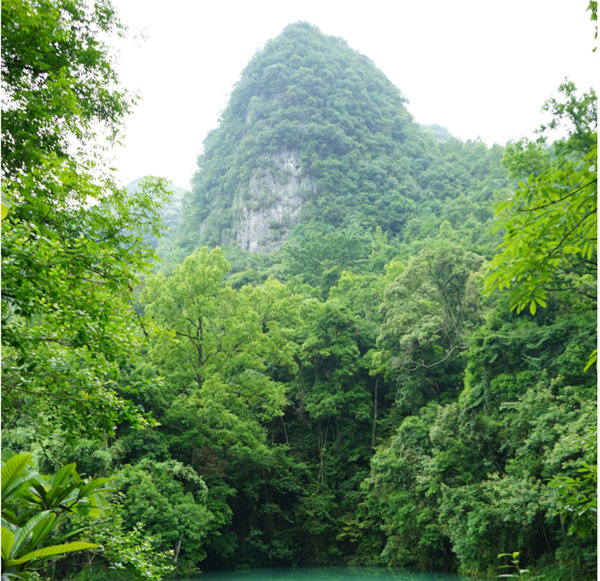 賞華夏大地，游多彩貴州-－2021年廣東博皓快樂行-2