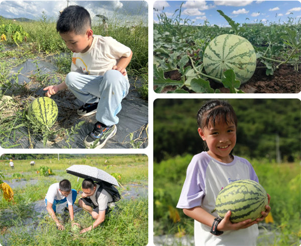 趣游盛夏，一路童行—2024年廣東博皓親子游   -12