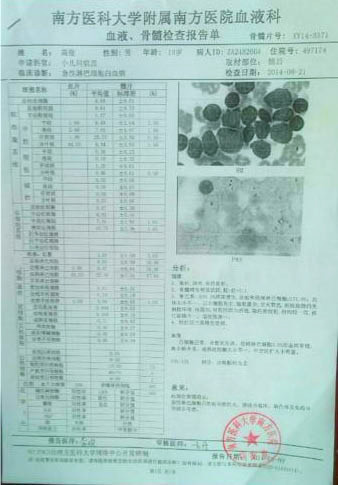 高俊的血液、骨髓檢查報告單